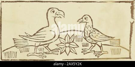 Reynke de vos : Photographien der Holzschnitte nach der Lübecker Ausgabe vJ1498 ; . 3<t.bbbevt?rccr viiß rnöbcfpioHeiiXy b^t)t)ert vnö m%t tvol gbcwjofcn U^c« be n« gbeb^gc ? Fö ßb^fcbttt v W6 lejte. 3!> <r^^"f iTxw iaxc vnö v:y vnfc tl^ge voivolgcji5:cii fcbaCcrt be vns to öonC« pkcbct©4c vot Webt bs nw fyn xt<W tccbc Banque D'Images