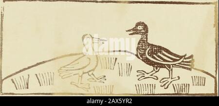 Reynke de vos : Photographien der Holzschnitte nach der Lübecker Ausgabe vJ1498 ; . {? Top tJrtt être à ^gert wec^ gbeFC^aitttoo2 frnc lofsbeipt vrt Viilfcbelögbe. 3<t.bbbevt?rccr viiß rnöbcfpioHeiiXy b^t)t)ert vnö m%t tvol gbcwjofcn U^c« be n« gbeb^gc ? Fö ßb^fcbttt v W6 lejte Banque D'Images