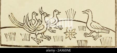 Reynke de vos : Photographien der Holzschnitte nach der Lübecker Ausgabe vJ1498 ; . 5^»wv OCH $cö gbelvcF vn vnfe Pytt?ttJXcrttc W?)?fyncc ^cbcn f^rotcn hynCtcJÖnfcevget vn vurigen bc numer cnfpantiDCö hic)i)^ na cjnfcvngvnvnvnvnvnvnvnvnvnvnvnvnvnvnvnvnvn -}{? Top tJrtt être à ^gert wec^ gbeFC^aitttoo2 frnc lofsbeipt vrt Viilfcbelögbe Banque D'Images