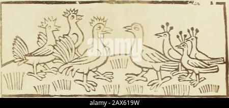 Reynke de vos : Photographien der Holzschnitte nach der Lübecker Ausgabe vJ1498 ; . 33. C 9 o veie vnfct xb in ^mt tal#uec tcjn^cn wyl wy Hingen (tl^0 y»an u?c Bomcrt in ^n boffIDritbeft be tcgcn vnö vo: Net^groff. 5^»wv OCH $cö gbelvcF vn vnfe Pytt?ttJXcrttc W?)?fyncc ^cbcn f^rotcn hynCtcJÖnfcevget vn vurigen bc numer cnfpantiDCö hic)i)^ na cjnfcvngvnvnvnvnvnvnvnvnvnvnvnvnvnvnvnvnvn Banque D'Images