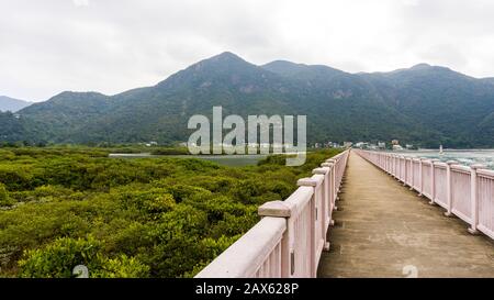 Hong Kong - 1 Janvier 2020 : Tai O Promenade À Tai O, Île De Lantau, Niveau Des Yeux Banque D'Images