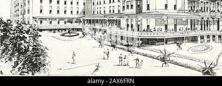 L'annuaire du Pulse / Rush Medical College . is i miiJkMMMM. Banque D'Images