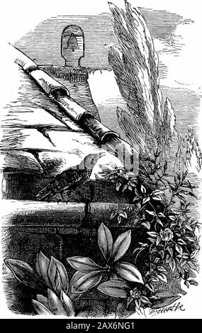 Madame Comment et Dame pourquoi; ou, d'abord des leçons dans la terre de minerai pour les enfants . ll le chemin le long des chemins de fer les nouveaux sols de rocksand se situent au-dessus de l'âge, et pourtant comment, quand weget vers l'ouest, les roches les plus anciennes montent le plus haut dans le theair. EH bien, nous allons y aller : mais pas, je pense, au jour le jour. Je ne sais pas comment on pourrait aller jusqu'à AseEading; pour tout le monde est dans le foin-ield, andeven le vieux cheval doit aller aussi thither, et prendre des histurn au chariot de foin. EH bien, les rochers ont beenwhere ils sont pendant beaucoup d'un an, et ils serveront patiemment notre loisir: Mais Midsummer et theHay-field n'attendront pas. Allons-y Banque D'Images