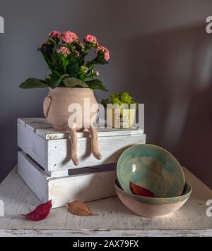 Toujours la vie avec des fleurs de Kalanchoe, des mousses décoratives et des bols en céramique. Vintage. Banque D'Images