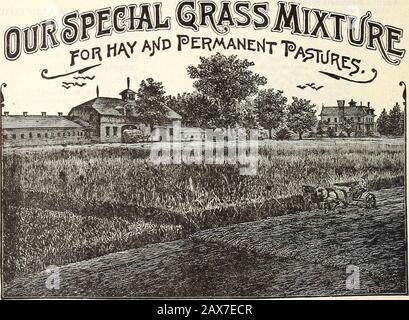 Les plantules WmElliott & Sons : 1845 1899 . obusta Grandiflora.) Flowerslarge, parfaitement formé, très double et couleurs frappantes. . • 10 Pi Haageana fl. De belles fleurs d'un jaune orange profond, en gardant leurs couleurs lors du séchage de 10 zébrées. Les fleurs sont parfaites en forme et toutes les couleurs; avec un grand pour cent, rayé, repéré et blotchedwith différentes nuances, à peine deux plantes produisant des fleurs aussi bien. Couleurs mixtes . 10 Curled et Crested. Une nouvelle et belle souche de la plante cispopulaire. Fleurs grandes, doubles et perfectform, pétales tordus et courbés dans les formes les plus gracieux. Les couleurs compris Banque D'Images