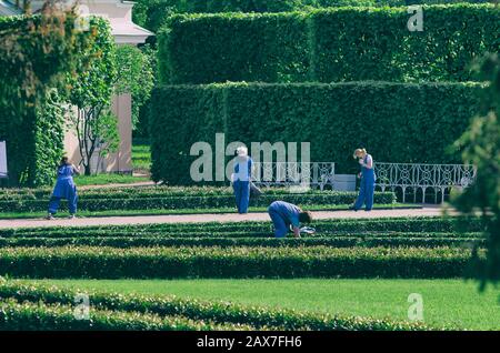 Tsarskoye Selo, Saint-Pétersbourg, Russie-20 mai 2016: Groop de jardiniers femmes balaie et nettoie les pelouses un matin de printemps Banque D'Images