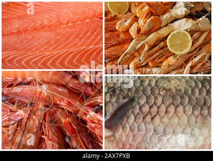 photo composite de fruits de mer devant un fond blanc Banque D'Images