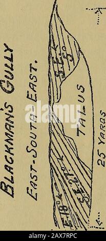 La revue trimestrielle de la Société géologique de Londres . OQ cm Ph &lt;-€0^^r.^. W */2 n* SO /C-.r •?&gt; Yol. 6$.] LES ROCHES DE CORAIL DE LA BARBADE. 331 À environ un mile au nord-ouest de Haynesfield Quarry, près de la tête de Blackmans Gully, est Blackmail Quarry ou Marl-hole. Il est atan élévation d'environ 900 pieds. Les lits de trempage sont ici bien exposés, et (lorsqu'on le voit à une petite distance) la section semble consistante d'une série de lits avec un creux général à des angles de 12° à 20° sud-est. À l'ouest et au-dessus de la carrière, les lits de calcaire sont horizontaux, mais, à mesure qu'ils approchent des côtés du gul Banque D'Images