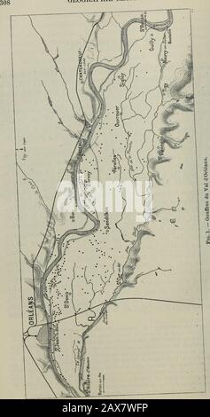 Annales de géographie . sur les eaux de sources situées à la ville de Paris, Paris, Chaix, 1902, p. y31-5;jl); — F. Mabhoutin, Etudes hydrologiques, mission du val dOrléans,campagne hors 1901 [Ibid., p. 401-530]; — 11. Sain.ion, la Loire, le Loiret et les locataires souterrains du Val dOrléans (manuchcrit^. 2. Carte logique de la France à 1 ; 80 000 ; feuille 95, Orléans. GÉOGRAPHIQUE RÉGIONALE.. ÎTA ; ; LE VAL DORLÉANS. 309 connaissant ces conditions géographiques, quels doivent être lesplantes, les animaux, les hommes et les produits de la sécurité humaine. Origines du Val dOrléans. — Il Banque D'Images
