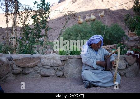 Un bédouin joue de la musique dans son jardin près de Mt. Sinaï, Egypte. Banque D'Images