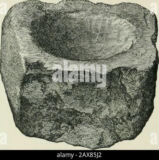 Anciens lacustres-habitations ou cannnogs écossais : avec un chapitre supplémentaire sur les restes de lacustres-habitations en Angleterre . l'utilisation probable était de maintenir l'eau, si essentielle à la maturation des outils métalliques. EXCAVATION D'UN CRANNOG À BUSTON. 213 Pierre de tasse.—une petite pierre de tasse trouvée à l'intérieur du crannog. La pierre est lisse sur ses surfaces supérieure et inférieure et d'un côté, les deux côtés sont irréguliers. La tasse elle-même est lisse et circulaire, et ressemble comme si elle avait été utilisée asa petit mortier. Son diamètre est seulement de 1 pouce, et son halfan de profondeur pouces (Fig. 195). Querns.—Seulement deux tourelle-sto Banque D'Images