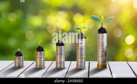 La croissance de l'argent d'économiser de l'argent. Arbre supérieur de pièces illustré notion de croissance de l'entreprise Banque D'Images