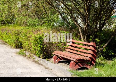 Banc sur l'avenue sous les branches de buissons Banque D'Images