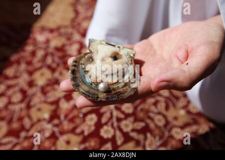 Une huître avec une perle à Ras Al Khaimah. Banque D'Images