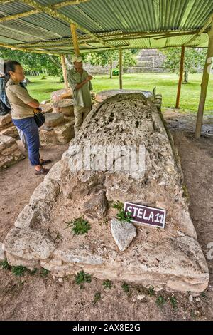 Stela À Caracol, Ruines Mayas, Plateau De Chiquibul, District De Cayo, Belize, Amérique Centrale Banque D'Images