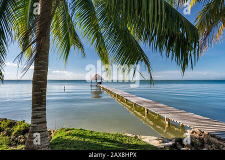 Promenade, palapa près de Cerro Maya, ruines au-dessus de la baie de Corozal, côte de la mer des Caraïbes, près du village de Copper Bank aka San Fernando à la péninsule de Cerros, Coro Banque D'Images