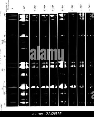 L'Effet de la pression sur l'arc SpectraNo5Nickel, $lambda 3450 $ à $lambda 5500 $, Y Compris un compte-tenu du taux de déplacement avec longueur d'onde, de La Relation entre la pression et le déplacement, De l'Influence de la densité du matériau et de l'intensité des lignes de spectre sur le déplacement et de la résolution du spectre de nickel en Groupes de lignes . S - ? ^v^^^i^^. SI ^ 5$ ^ § $? A S i 5- s, $ i tl — -^ TV ?k RM»$ifii&b avertir lis Sis ll^S :V sfe • -„.,»0«B»«««&lt;S* ii^. Duffield Phil.-Trans., Vol. 215.Pl.*. ^ Duffield & c «-&gt; -5 ^ f4*. V&gt; ^r ^ Q § £ Banque D'Images