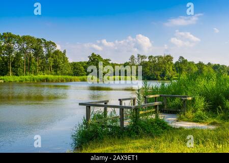 Lac d'eau avec jetée et beau paysage naturel, le melanen, Halsteren, Bergen op zoom, les Pays-Bas Banque D'Images