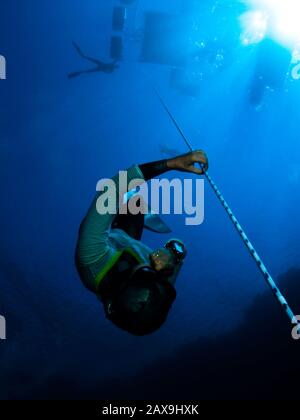 Le champion italien Freediver Linda Paganelli descend une corde à trente mètres comme un échauffement avant une plongée de 90 mètres de poids variable record dans le célèbre trou bleu d'Egypte dans le désert du Sinaï. Banque D'Images