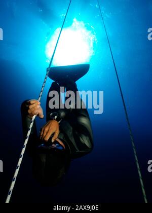 Le champion italien Freediver Linda Paganelli descend une corde à trente mètres comme un échauffement avant une plongée de 90 mètres de poids variable record dans le célèbre trou bleu d'Egypte dans le désert du Sinaï. Banque D'Images