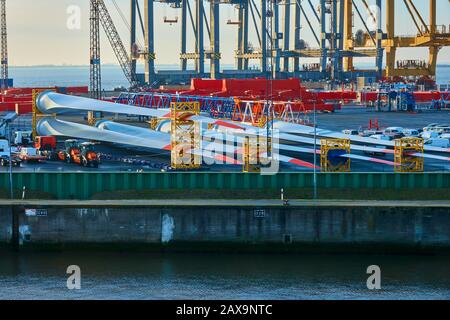 Bremerhaven, Allemagne, 16 janvier 2020: Pales d'éoliennes en attente d'exportation dans le port Banque D'Images