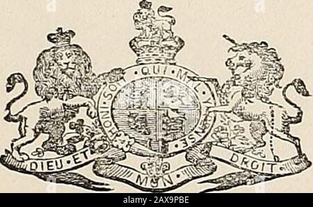 Ordnance Survey of Scotland, Livres de référence des cartes paroissiales de 25 pouces d'Ecosse, Vol61, Melrose à Muthill . &gt;! Une grande ferme. Sanatorium - LXXXIV. 11 L'hôpital connecté avec Trinity College. Sandyknowe ... ?&gt; 8 deux rangées de maisons. Sportfield - 55 15 UNE maison d'habitation. Shannoch - - LXXXV. 1 UNE grande ferme. Les Cairnies LXXXIV. 11 UNE maison d'habitation. Tombrandy - - 55 8 UNE petite ferme. Tomnagrew ... LXXXV. 5 Deux maisons de cotiers. Trinity College (Épiscopal) Lxxxiv. 11 un grand bâtiment en connexion avec l'épiscopal Churchof Scotland. Tullymoran j ? 7 UN petit fa Banque D'Images