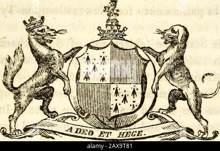 Le patrimoine de Collins en Angleterre; généalogique, biographique et historique . a et Nottingham, Viscount Maidstone, Baron Finch de Daventry et Baronet. Créations. Baronet, 29 juin, I611, Q Jac, I. et juin /th,]660, 12 voiture. II. Baron Finch, de Daventry dans com. North-ampton, par lettres patentes, janvier Loth, 16/3-4, 25 voitures. II.Viscount Maidstone dans le Kent, 8 juillet, l023, 21 Jac. I. Eail ofWinchelasea dans le Kent, juillet I2th, l628, 4 voiture. I. et comte De Not-tingham, 12 mai, I68, S3 car. II. Bras. Trimestriel, premier et quatrième. Argent, chevron, be-Tween trois griphons, passant. Sable, pour Finch ; seco Banque D'Images