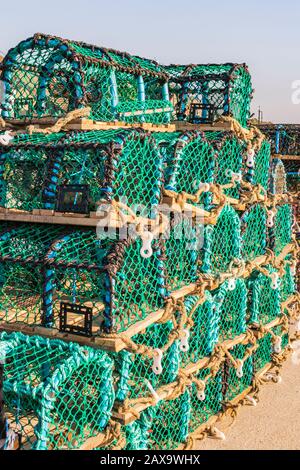 Homards Sur Le Quayside, Whitby, Yorkshire Du Nord, Angleterre. Banque D'Images