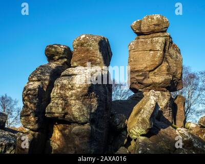 Formations rocheuses de Gritstone à Brimham Rocks Brimham Moor Nidhair AONB North Yorkshire England Banque D'Images