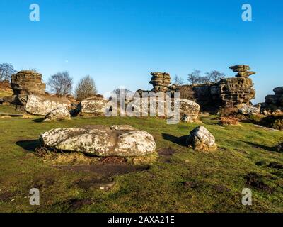 Formations rocheuses de Gritstone à Brimham Rocks Brimham Moor Nidhair AONB North Yorkshire England Banque D'Images