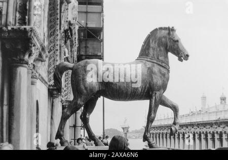 Venise, Italie, 1980 - photo noir et blanc - Des quatre chevaux de bronze, venant de la conquête de Constantinople en 1204, maintenant placé sur la façade de la basilique de San Marco à Venise. Banque D'Images