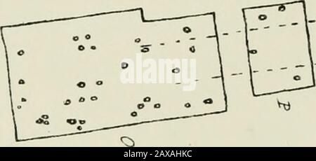 Anciens lacustres-habitations ou cannnogs écossais : avec un chapitre supplémentaire sur les restes de lacustres-habitations en Angleterre . Banque D'Images