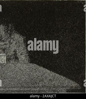 Expériences de la lumière Gilbert pour les garçons . lorsque ces ondes entrent dans l'air, elles deviennent moreurlées (voir BC,Fig. 118) becauseles pièces qui en-ter l'air premier voyage plus rapide et de devancer la partsalte dans l'eau. Maintenant votre oeil Fig. 117. La pièce apparaît plus près de vous qu'elle ne l'est, ce qui permet d'estimer la détance d'un objet en partie par la courbure des ondes qui l'entrent de l'objet. Thecurbure des vagues qui enteryour eye de la pièce est la même assi la pièce était à un point Aonly trois-quarts de la profondeur, et thisis la raison pour laquelle la pièce semble battre A. Si vous regardez la pièce dans une pente Banque D'Images