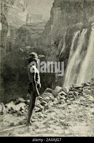 A travers le Grand Canyon du Wyoming au Mexique, avec une préface d'Owen Wister;nouvelle édition avec (72 plaques) à partir de photographies de l'auteur et de son frère . terles hommes avaient aidé la fête à lever les bateaux sur le rocksat la tête de la rapide. Après avoir atterri dans un virage en arounda de sécurité qui les a cachés de la vue, le bateau a fait la fête de leurs armes, espérant qu'ils entendraient le rapport, et 266 À TRAVERS LE GRAND CANYON DU WYOMING AU MEXIQUE suivent dans le bateau abandonné. Il est douteux que le théypuisse entendre le son des canons, au-dessus du rugissement de la thérapie. S'ils l'ont fait, ils n'y ont pas prêté attention. Theyoung Banque D'Images