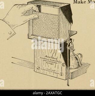 Glanings dans la culture des abeilles . Le Hi»e En Queue D'Aronde pour le miel de Comb LE FOND VENTILÉ admet de l'air frais dans la ruche, réduisant ainsi les chances d'arnacher, et donne une énergie renouvelée aux abeilles. Il est également équipé d'un chargeur avec supplément. Cinquante ans dans l'entreprise d'approvisionnement d'abeilles nous a montré que LE MASSIE isthe TRÈS MEILLEUR RUCHE, et des témoignages à cet effet sont reçus quotidiennement de thosequi utilisent cette ruche. Nous sommes également de grands fabricants de RUCHES À QUEUE DE COLOMBE et tous les autres fournitures apiariennes.Si vous êtes sur le marché pour les fournitures être surepour obtenir nos prix avant d'acheter ailleurs.Nous wi Banque D'Images