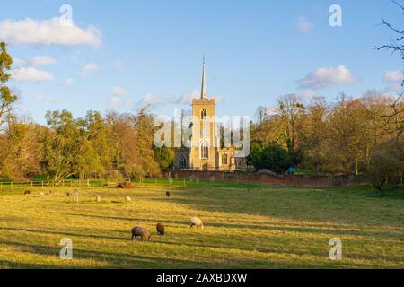 Lumière d'hiver sur l'église St Andrew, Beaucoup Hadham, Hertfordshire. ROYAUME-UNI Banque D'Images