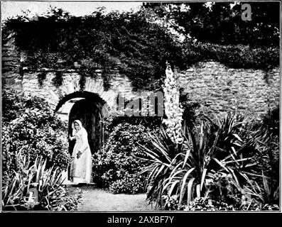 Bois et jardin; notes et pensées, pratiques et critiques, d'un amateur qui travaille . Chemin de l'autre côté de la frontière sud en juillet. Banque D'Images