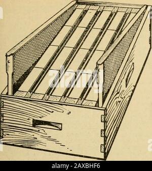 Glanings dans la culture des abeilles . ent et offre le apiculteur qui à tout moment pourrait insouciant de changer au miel extrait un article exceptionnellement bon. Il peut être utilisé pour le miel extrait en achetant 5%-in.frames qui s'adapte à l'intérieur du super, ou il peut être utilisé pour le miel de peigne. Cela permet de sauver le gardien de but de la quête d'une nouvelle tenue si jamais il s'occupe de passer au miel extrait, et en même temps lui donne une tenue de miel en peigne.1 pour le même prix qu'un super nid d'abeilles peut être acheté. N'importe quelle rangée de sections peut être sortie et remplacée sans châssis peu profond sans faire d'othe Banque D'Images