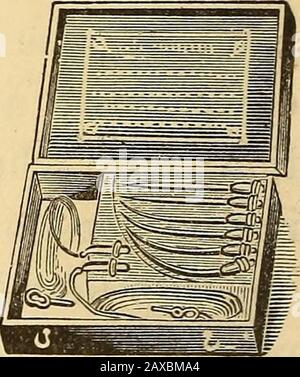 Un traité sur les maladies médicales et chirurgicales des femmes, avec leur traitement homopathique .. . ABLANC, fig. N° 12.—Batterie Faradique. Bien que nous ne croyons pas à l'utilisation de pédicelle clampssas une règle, nous présentons des coupures de certains, que l'étudiant peut être-venu familier avec eux, s'il veut les mettre en usage.(Voir la plaque XV; aussi, chapitre sur Ovariotomie.) Le collier de Spencer Wells a eu beaucoup d'amis. Avec ita très puissant, mais tout à fait inutile, la pression peut être exercée sur le pédicelle au moyen des poignées, qui peuvent ensuite être enlevées. Pour moi je préfère le Dawsonclamp. (Voir Ovariotomie.) Pla Banque D'Images