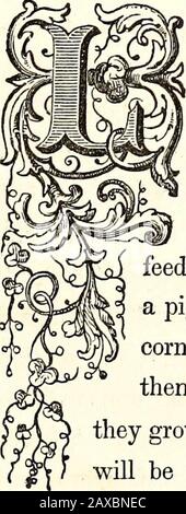 La famille Waldorf . Ying Beyond Hennebon, près de la côte thesea, est un petit village pauvre, appelé Plouhinc, entouré de plaines de lysandy, diversifié par une forêt de sapins féwscanty, et pro-ducation ni herbe assez de tofeed ox, ni gramme assez pour fattena porc. Mais si les gens n'ont que littlecorn et peu de bétail, ils peuvent se réconforter avec l'idée, que quand ils grandissent assez riche pour construire une ville, therewill ne pas être manque de pierre pour leurs palais.Le pays autour est littéralement parsemé de ces 199 pierres singulières, Quels chercheurs savent être le nouveau secteur des temples Druiaux, mais qui Banque D'Images