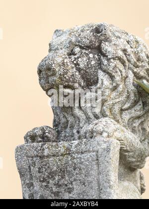 Gros plan d'une figure d'un lion tenant un bouclier en pierre Banque D'Images