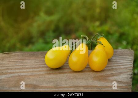 Tomate de poire jaune biologique. Tomate appelée goutte jaune. Tomate naturelle bio saine alimentation. Banque D'Images