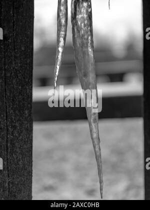 photo avec icicle, icicle formée sous une table en bois Banque D'Images