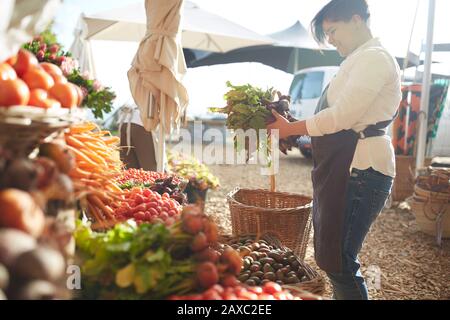 Femme travaillant, organisant des produits sur le marché des agriculteurs Banque D'Images