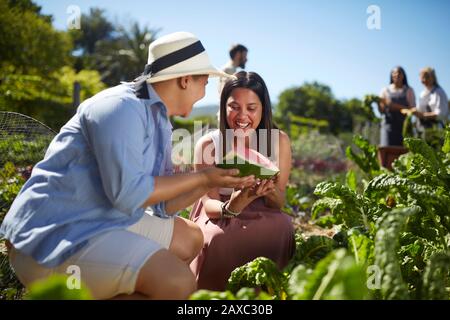 Les jeunes femmes qui apprécient la pastèque fraîche de la ferme dans un jardin de légumes ensoleillé Banque D'Images