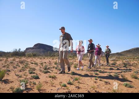 Safari guide d'excursion groupe leader dans les prairies ensoleillées d'Afrique du Sud Banque D'Images