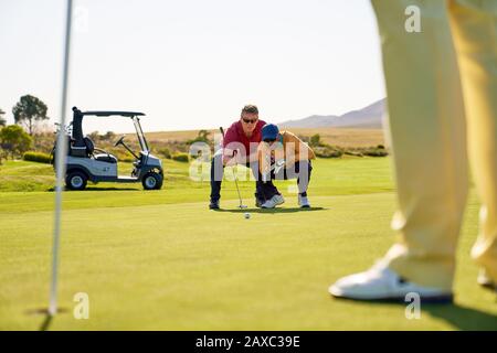 Putt de planification de golfeurs mâles sur les verts de golf ensoleillés Banque D'Images