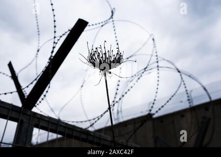 Baqa Al Gharbiya, Israël. 11 février 2020. La barrière de sécurité israélienne est adjacente à Baqa Al Gharbiya, une ville arabe israélienne de 30 000 habitants. Les Arabes israéliens s'opposent au plan de paix « eal of the Century » proposé par Trump pour résoudre le conflit palestinien israélien, qui comprend un éventuel échange de terres et de communautés arabes dans le « Triangle » entre Israël et l'avenir de l'État palestinien. Baqa Al Gharbiya est l'une des communautés mentionnées dans le plan d'administration américain. Crédit: Nir Alon/Alay Live News Banque D'Images