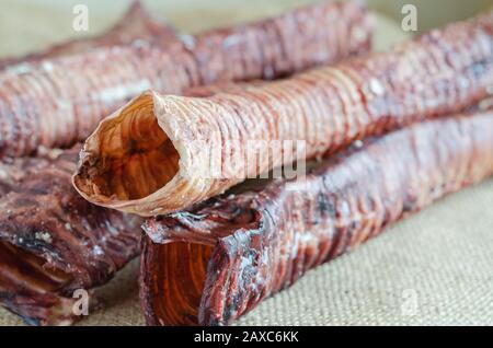 Friandises naturelles pour chiens. Fournitures pour animaux de compagnie. Mise au point sélective. Banque D'Images