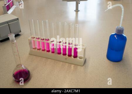 Dilution en série, utilisée dans la classe scientifique ou dans la recherche en biologie ou en chimie Banque D'Images